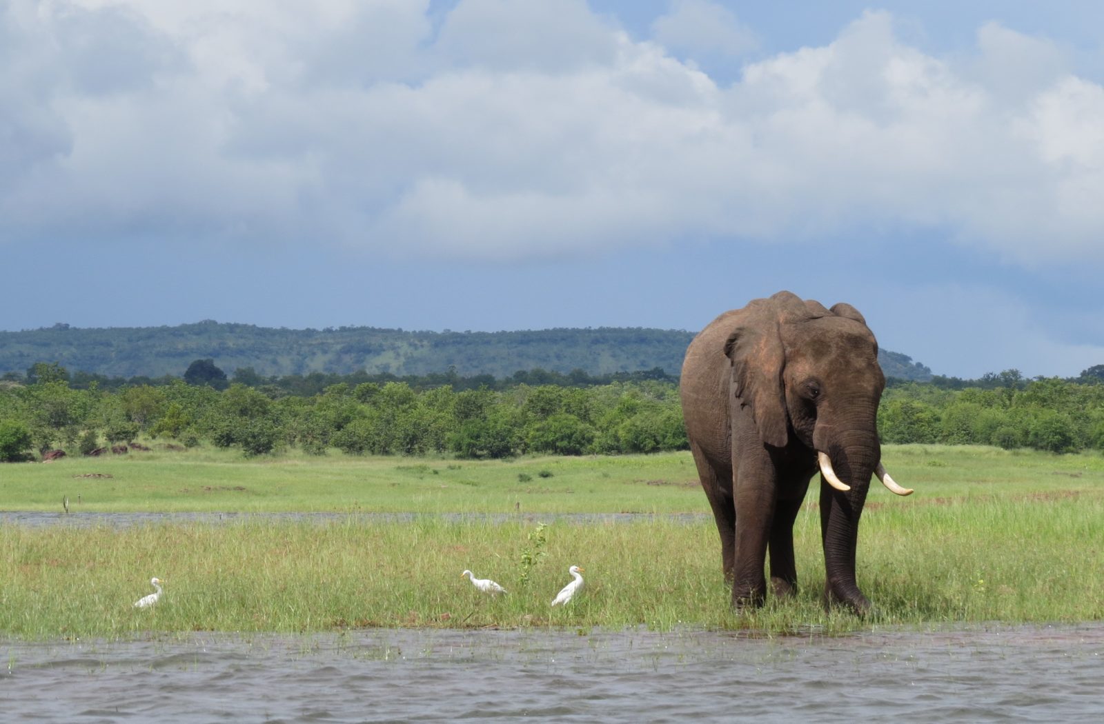 An Icon Reborn: Bumi Hills, Lake Kariba