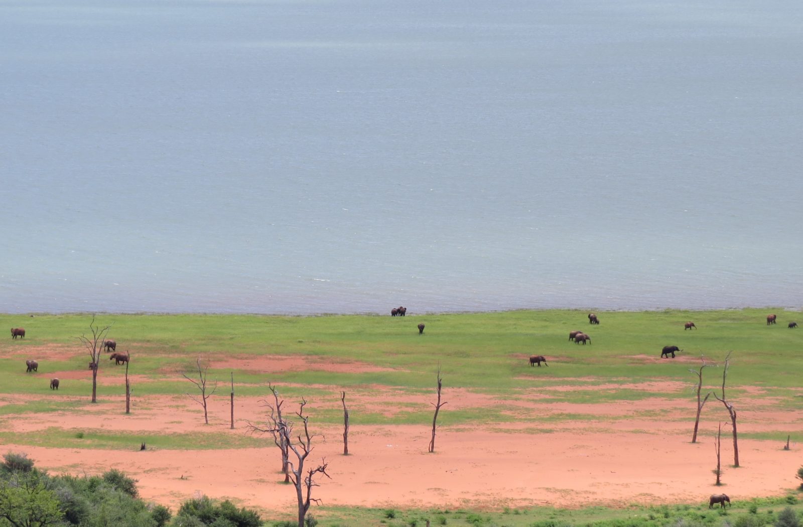 An Icon Reborn: Bumi Hills, Lake Kariba