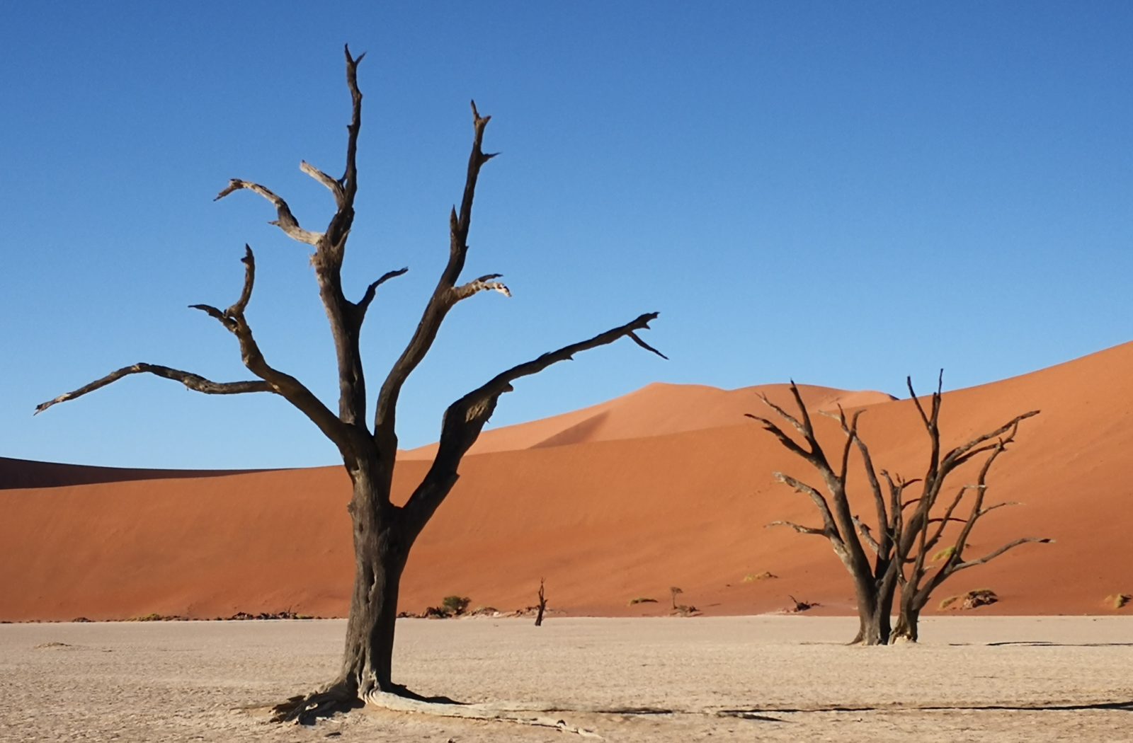 Uncharted Africa: Real Adventure with Unreal Style