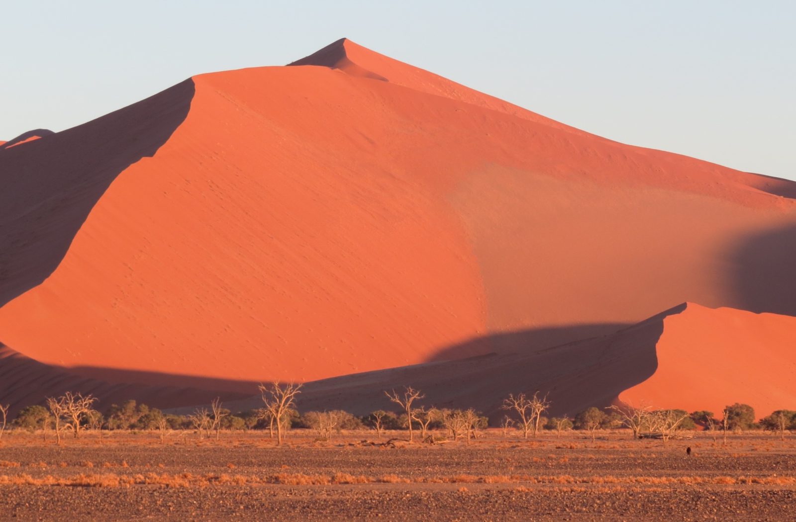 Self-Drive Adventures through Namibia