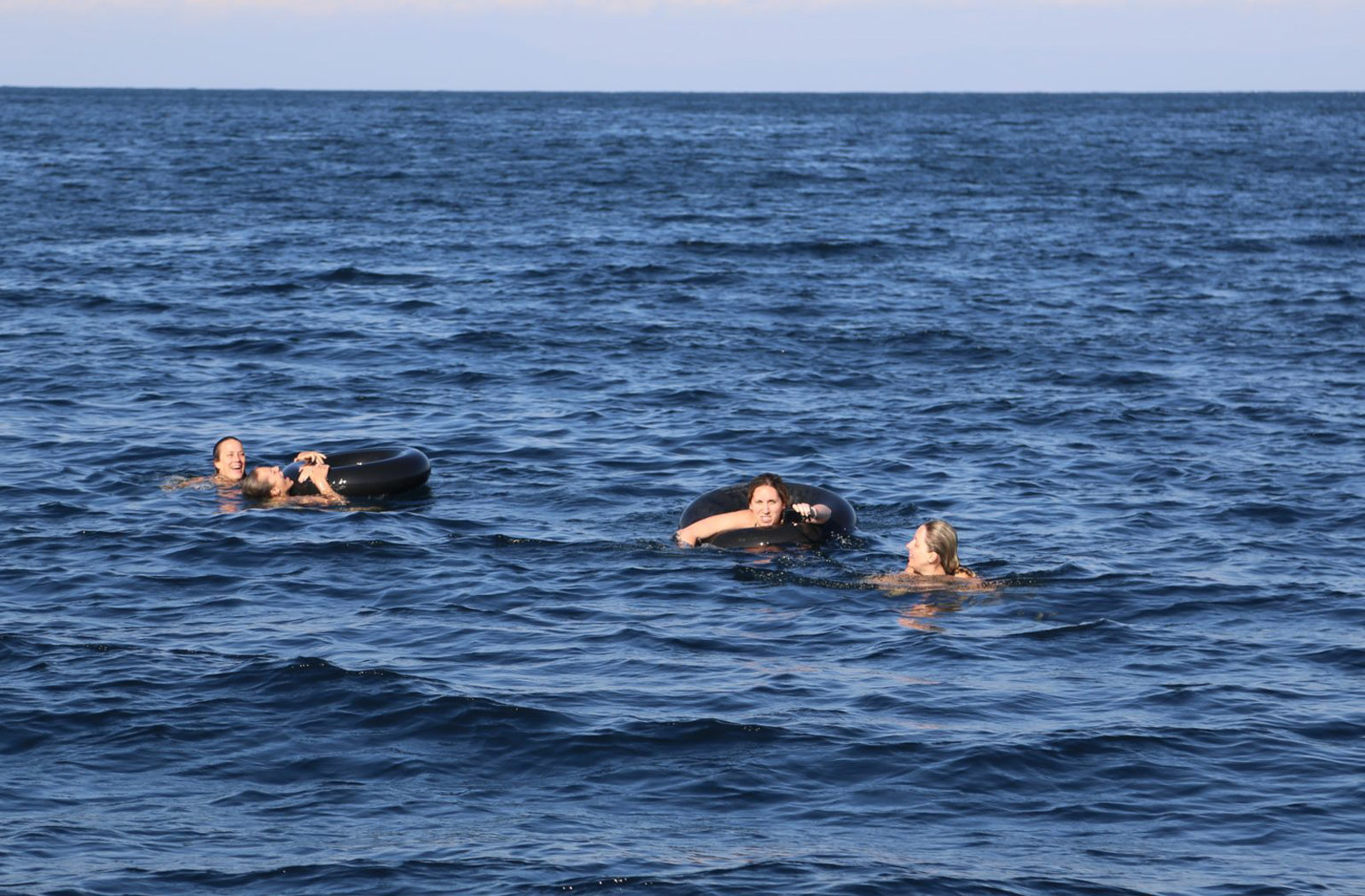 The Beaches & Chimps of Greystoke Mahale