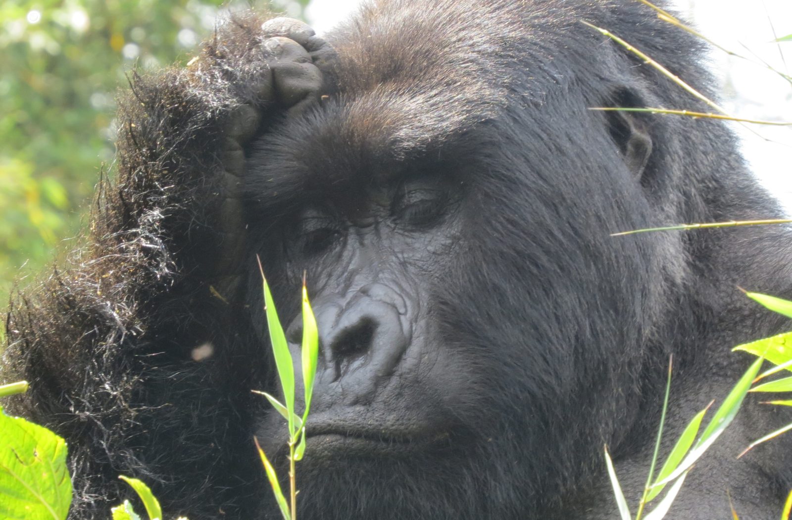 Exploring Rwanda