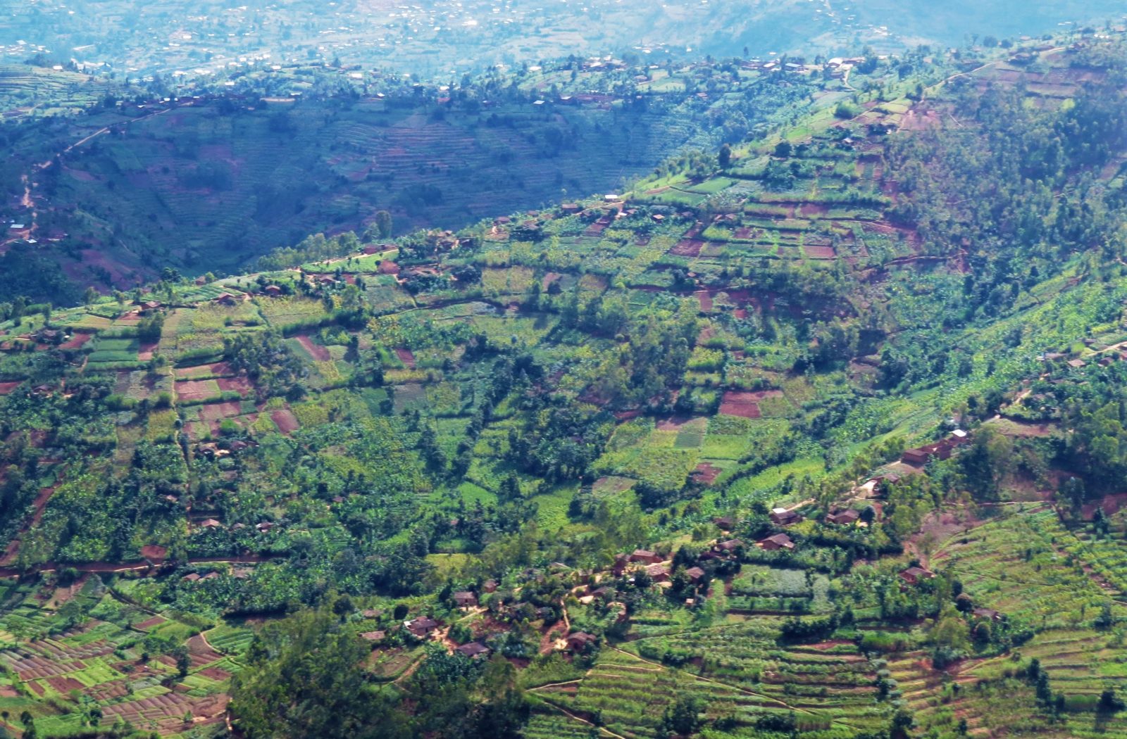 Exploring Rwanda