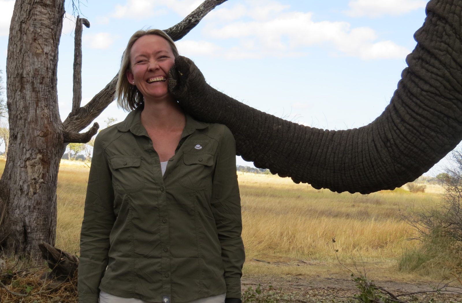 The Year of the elephant