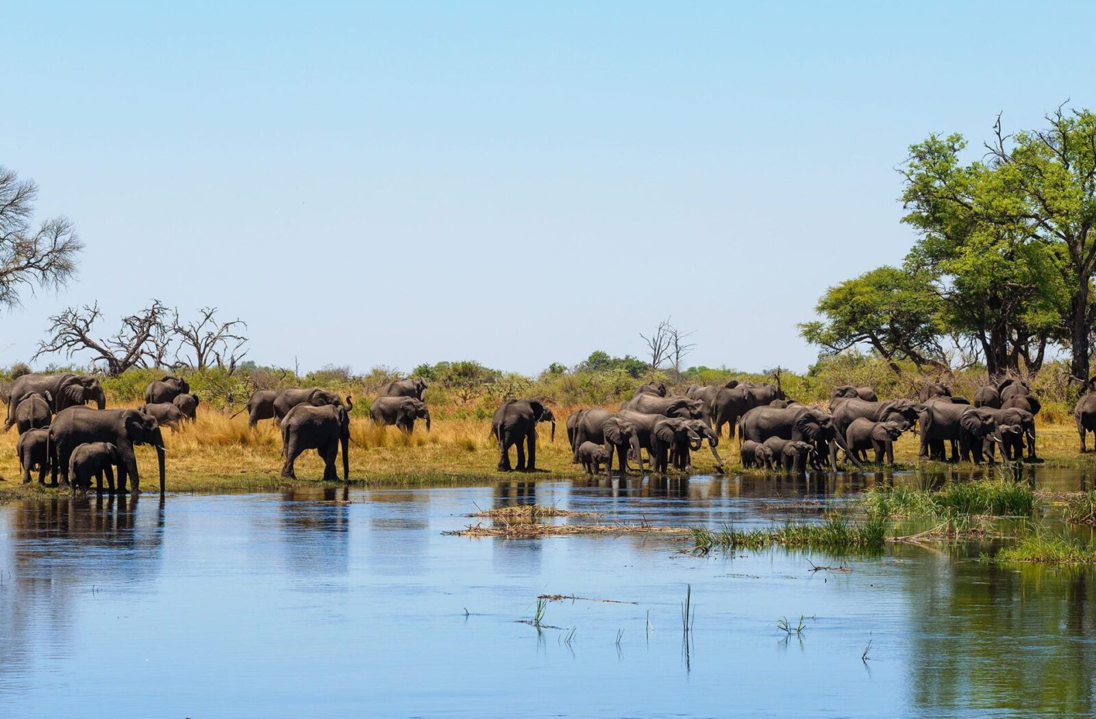 Caprivi Strip