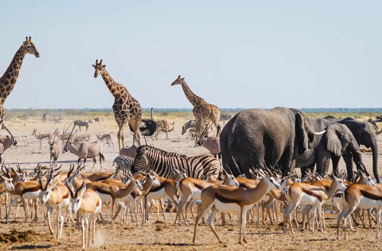 Etosha Pan