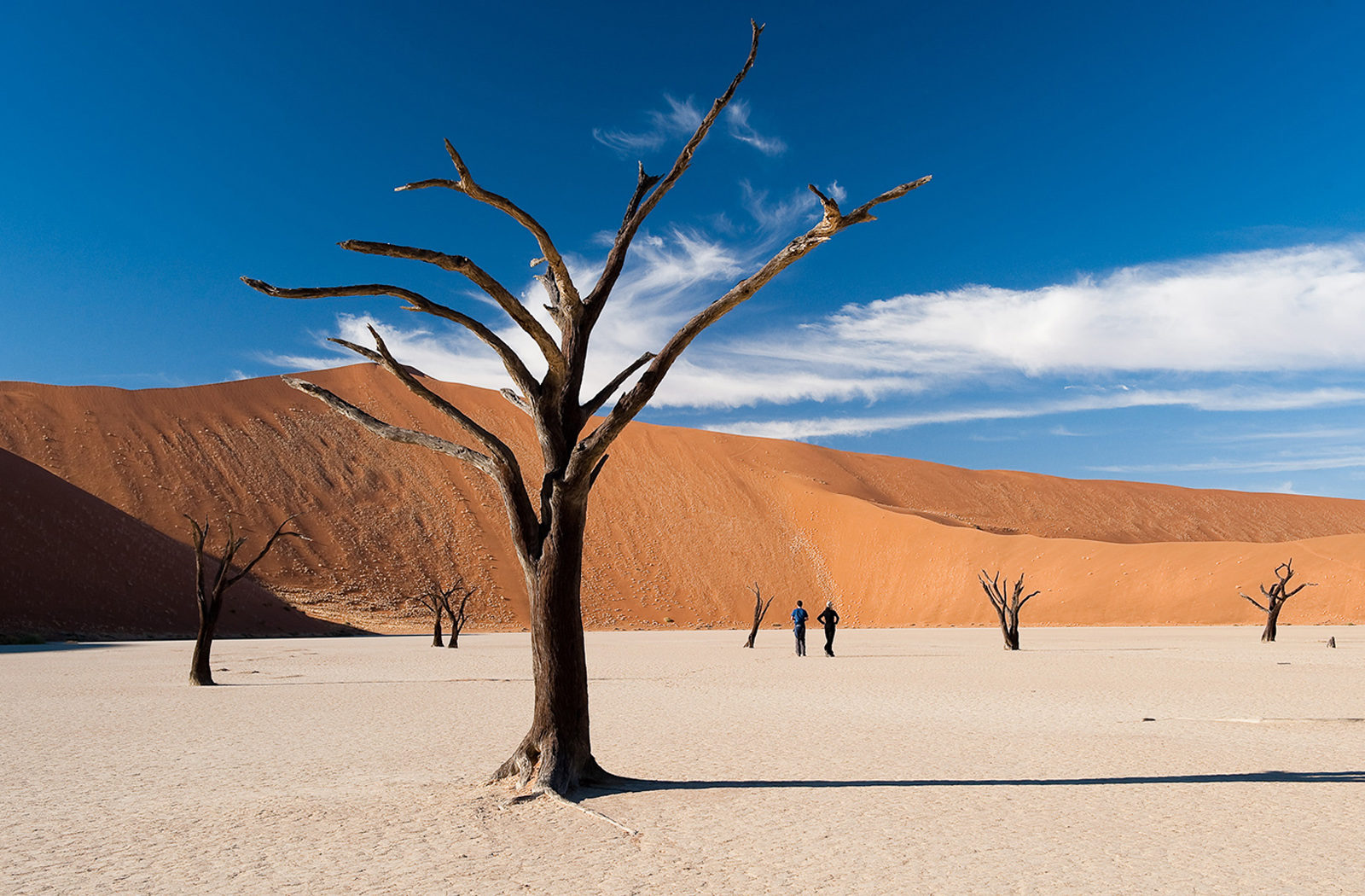 Dead Vlei