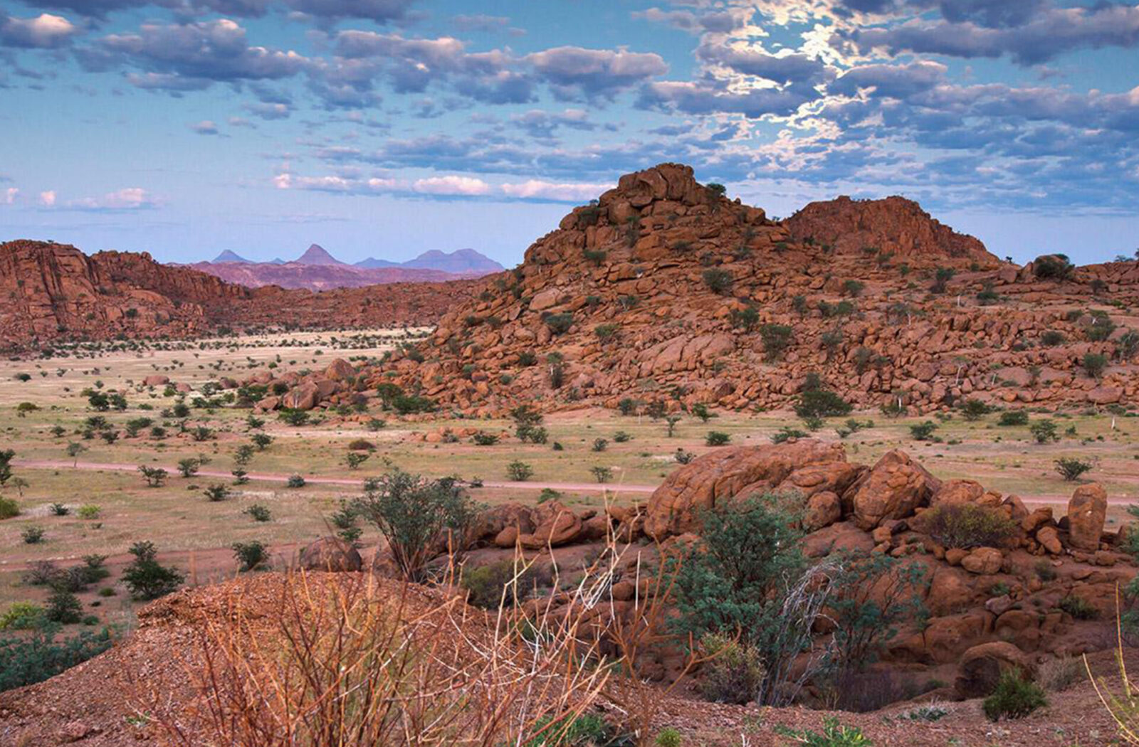 Landscapes