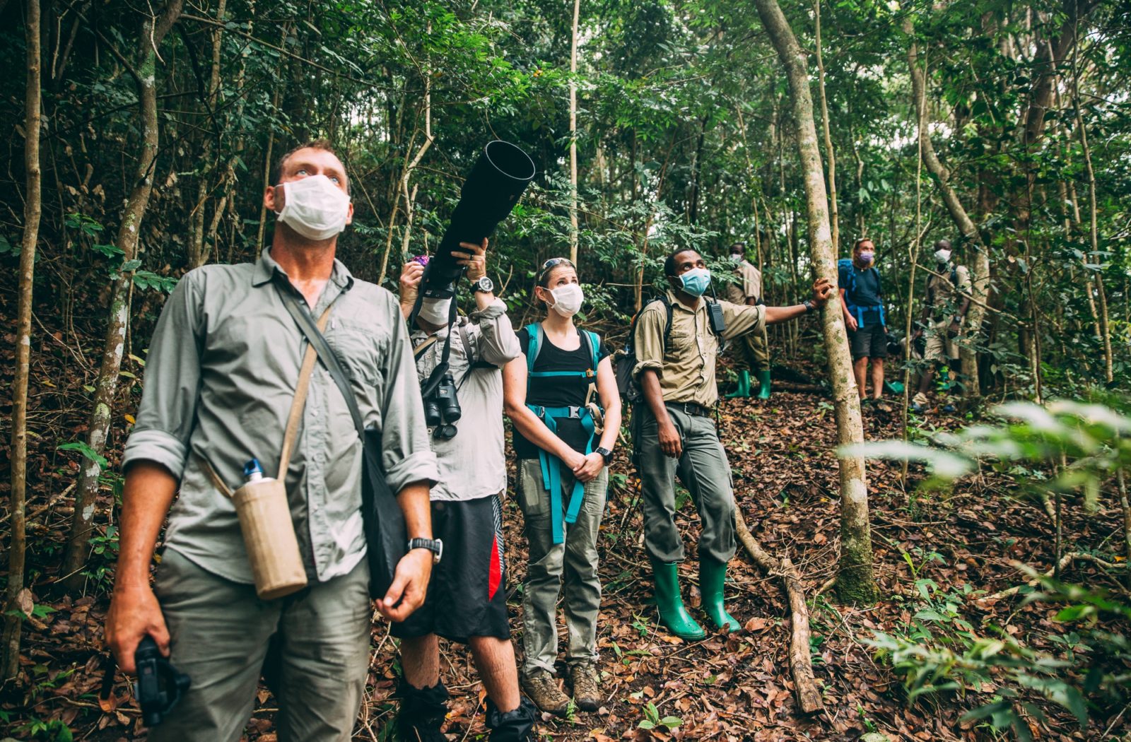 Chimpanzee Trekking at Greystoke Mahale