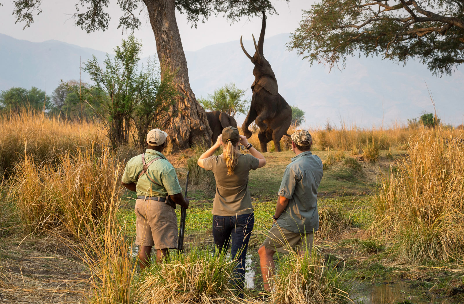 Walking Safari, Mana Pools