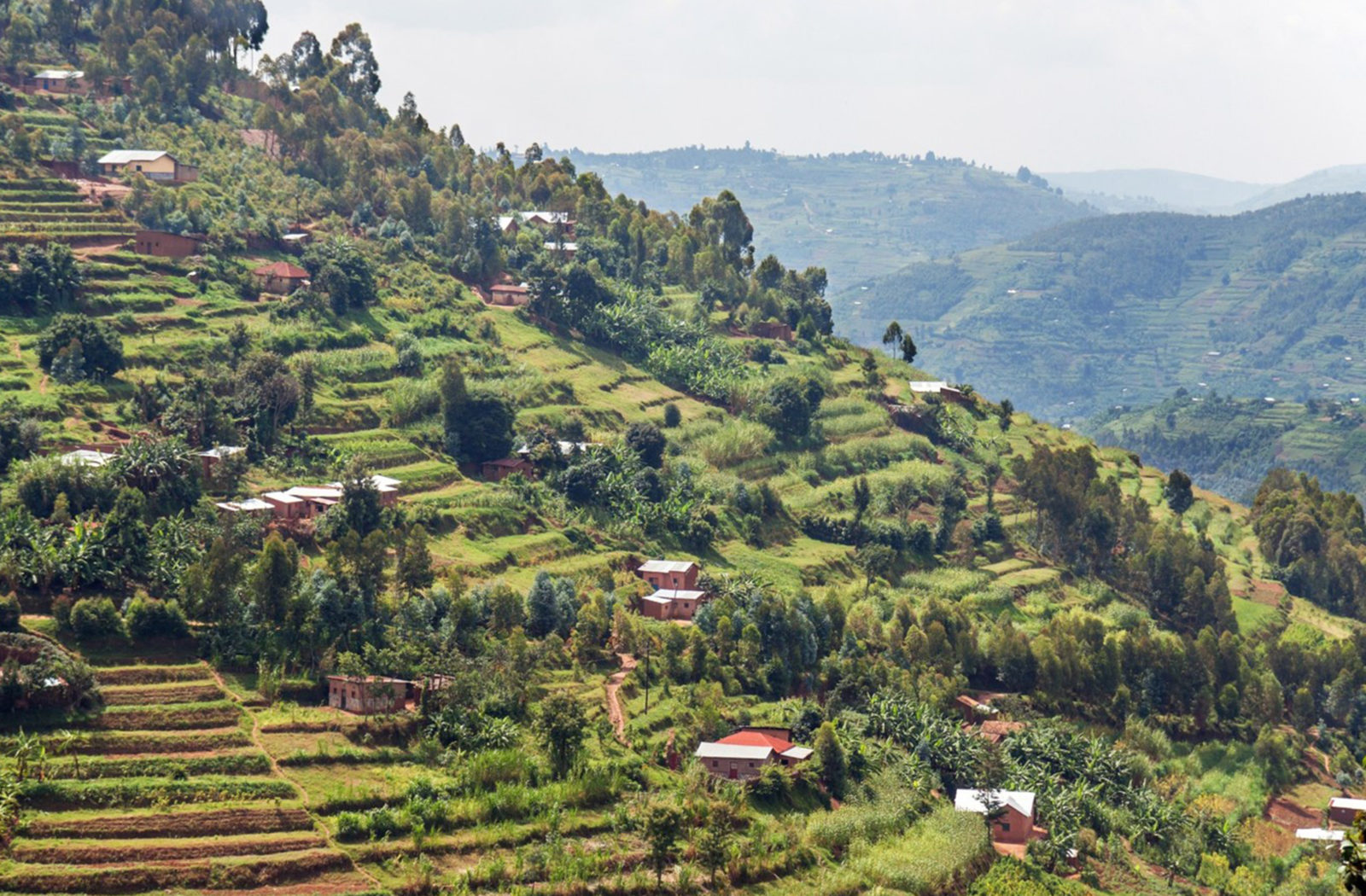 The Valley of a Thousand Hills