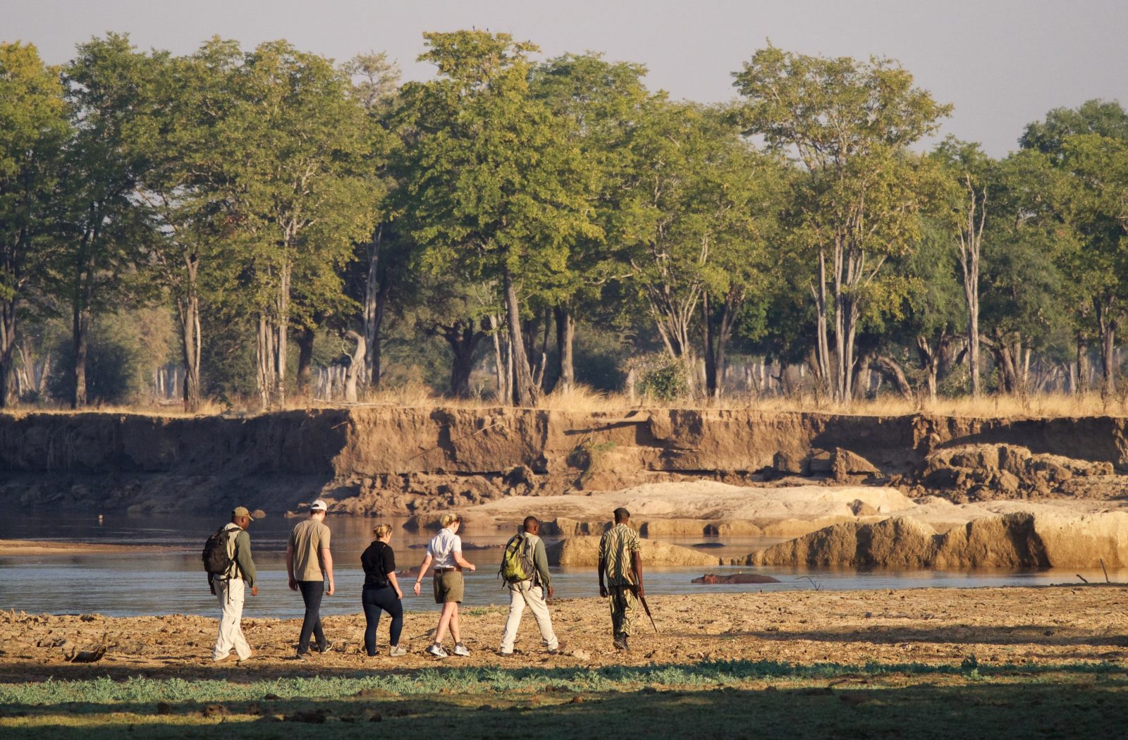 South Luangwa Walking Safari