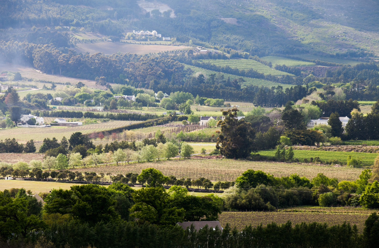 The beautiful Franschhoek wine valley