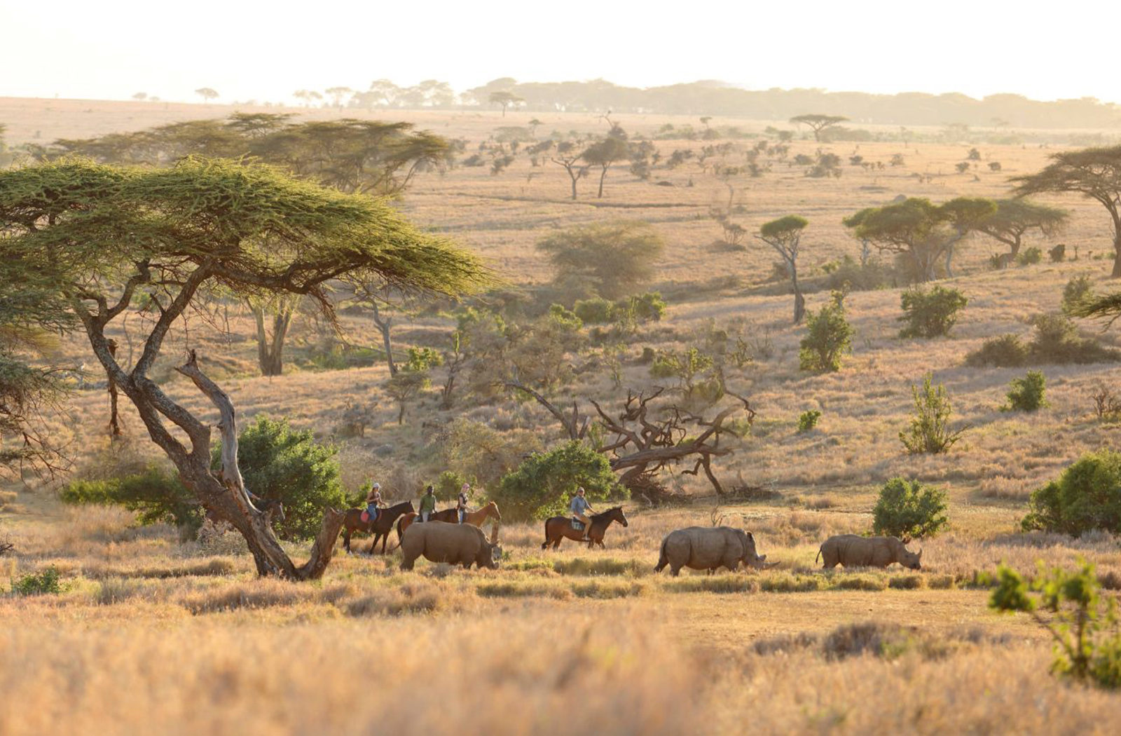 Horseridng, Lewa Wilderness