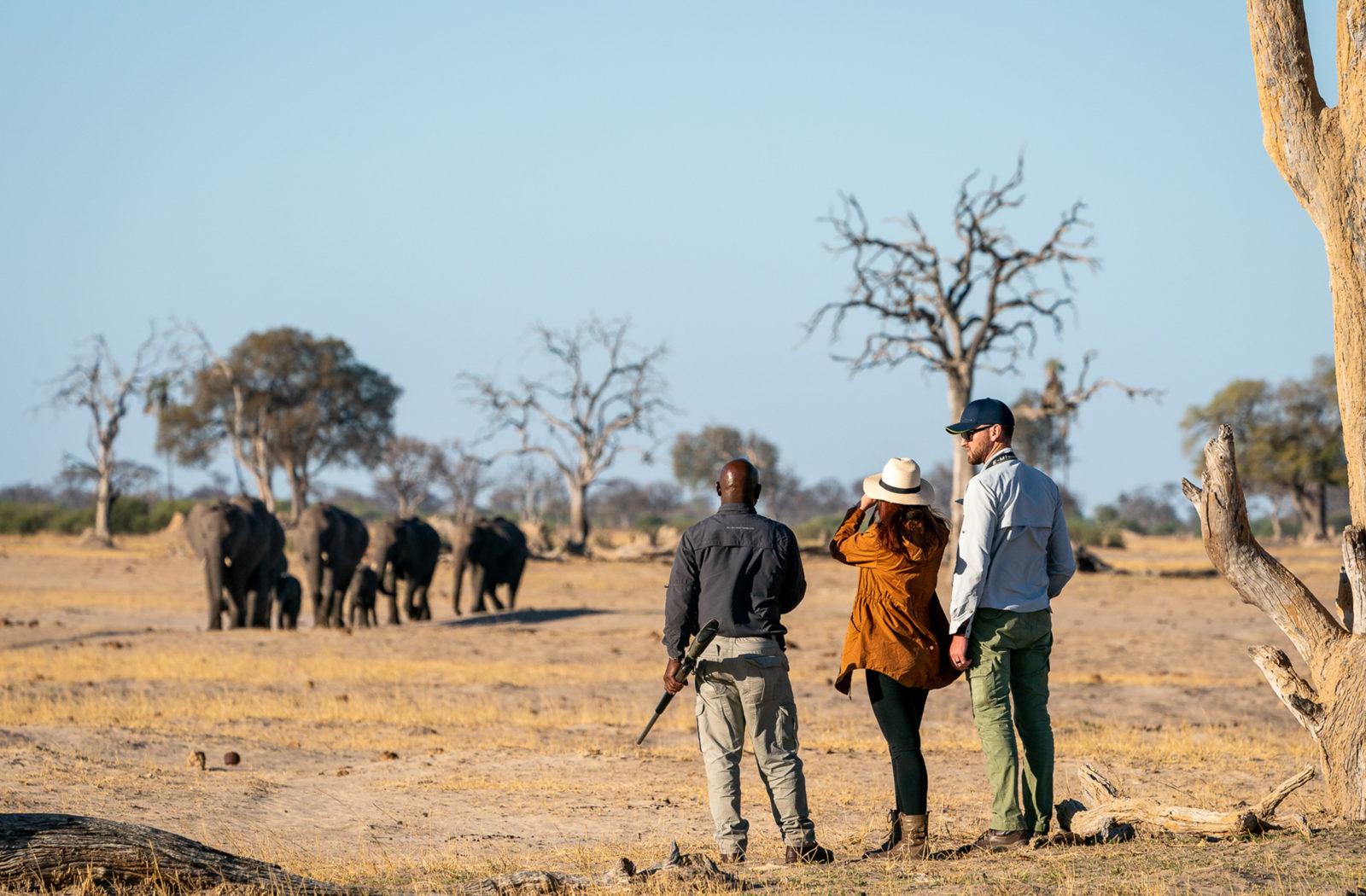 Walking Safaris, Hwange National Park