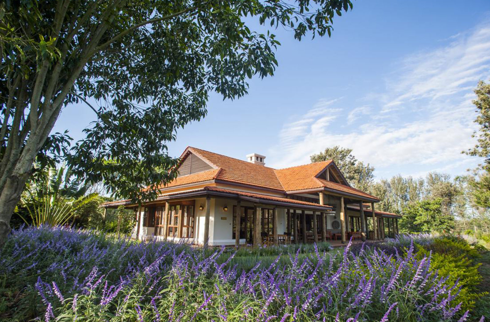 Legendary Lodge, Arusha