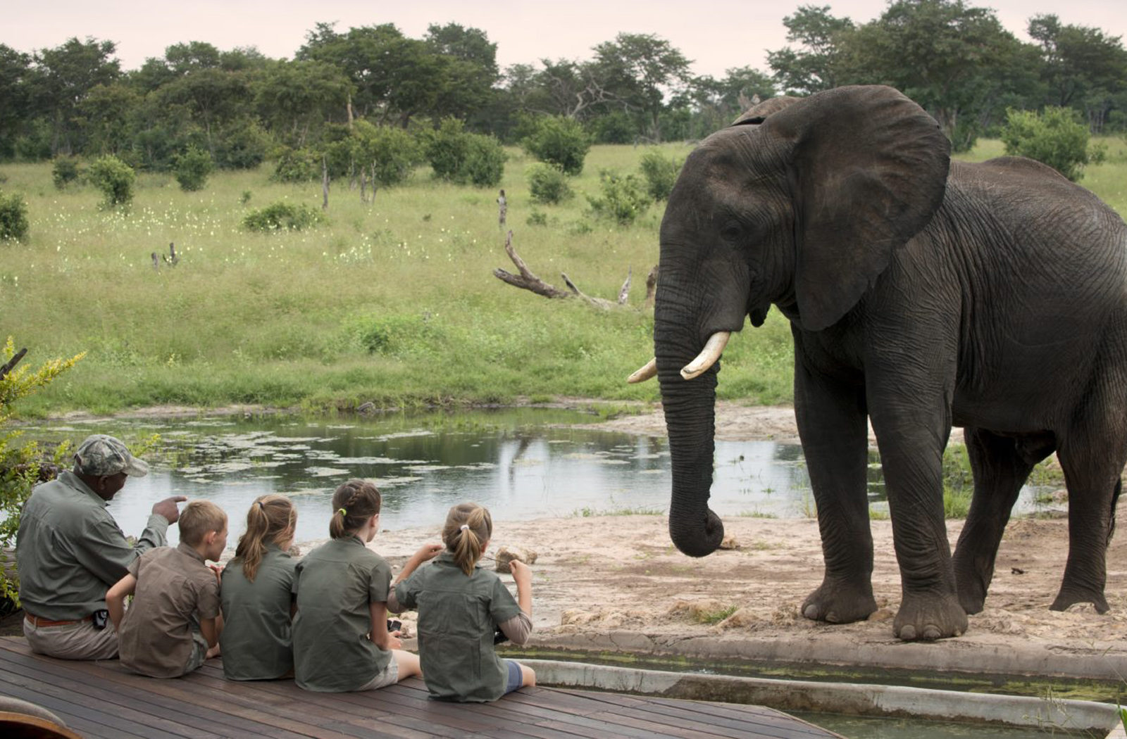 Family Safaris at Somalisa, Hwange