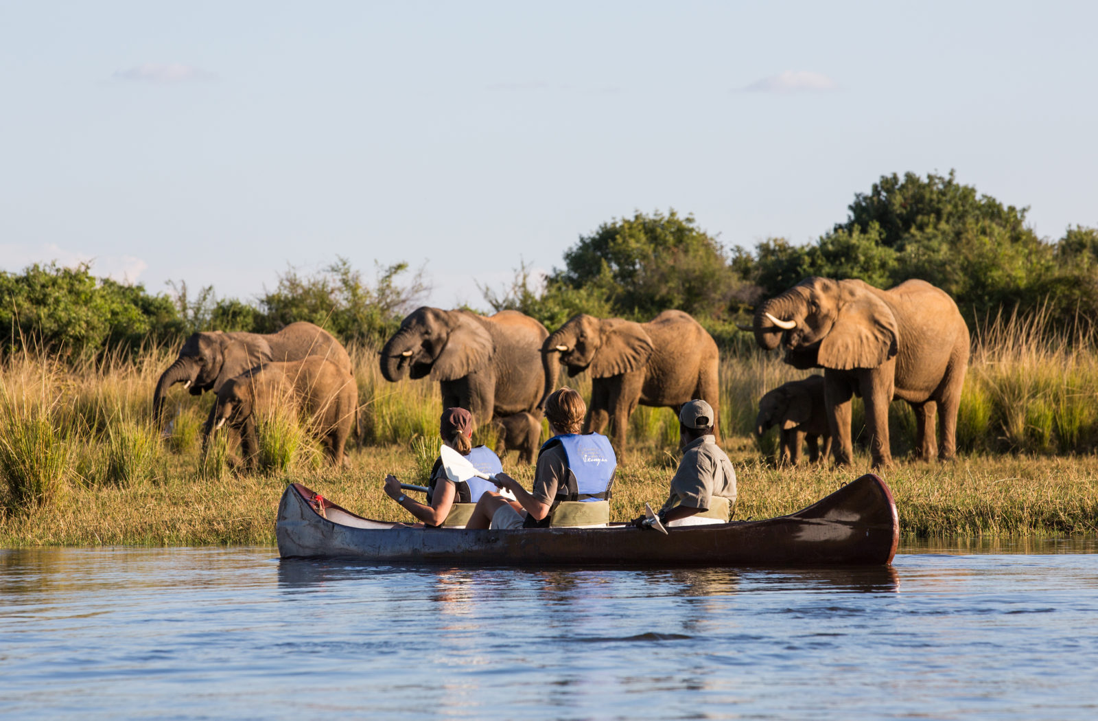 Lower Zambezi Canoe Safaris
