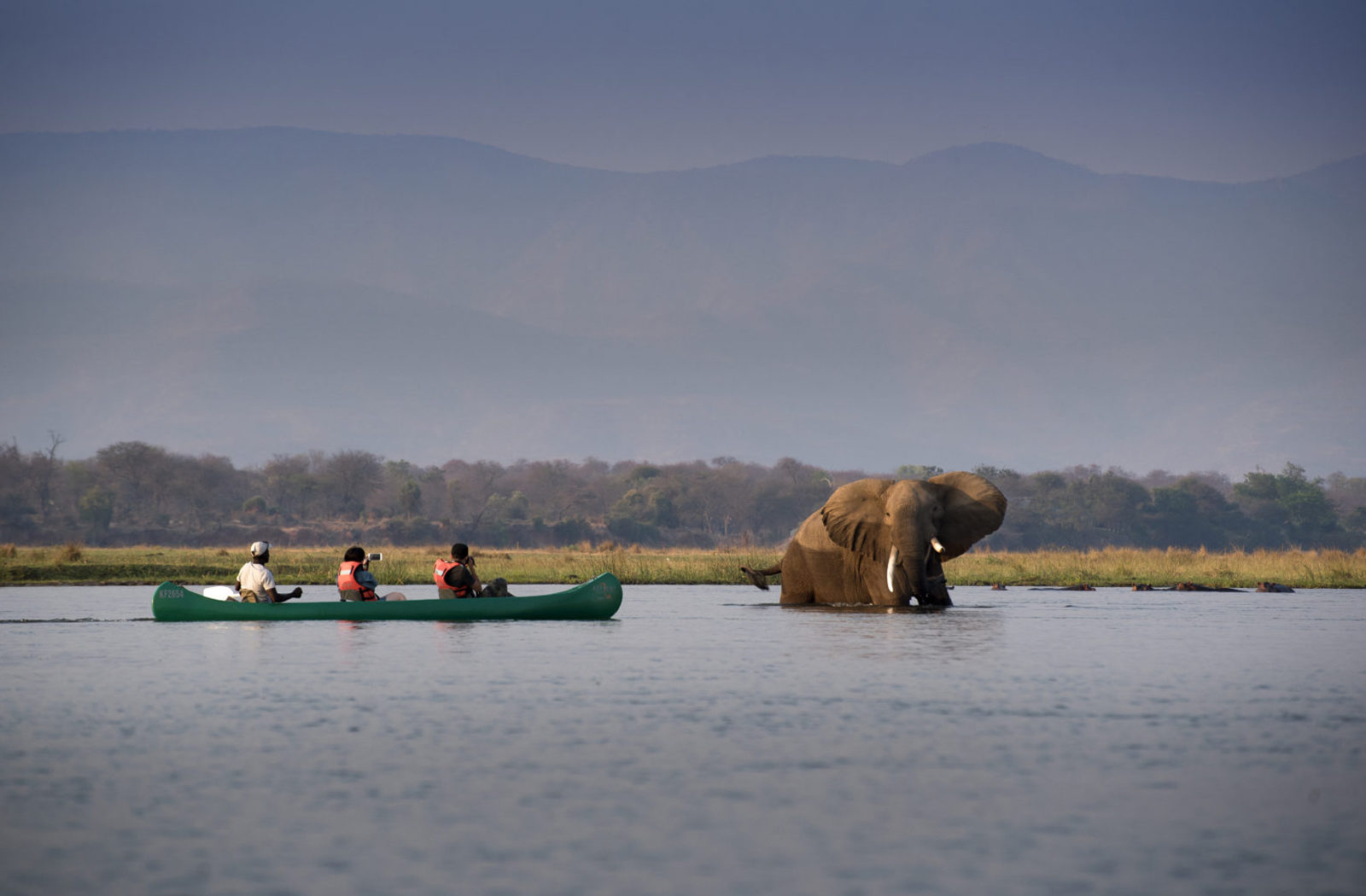 Canoe Safari on the Zambezi River, Mana Pools