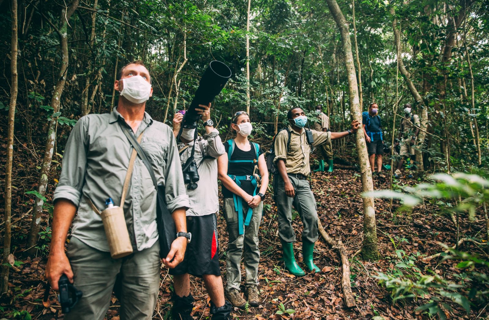 Chimp Trekking at Greystoke Mahale, Tanzania