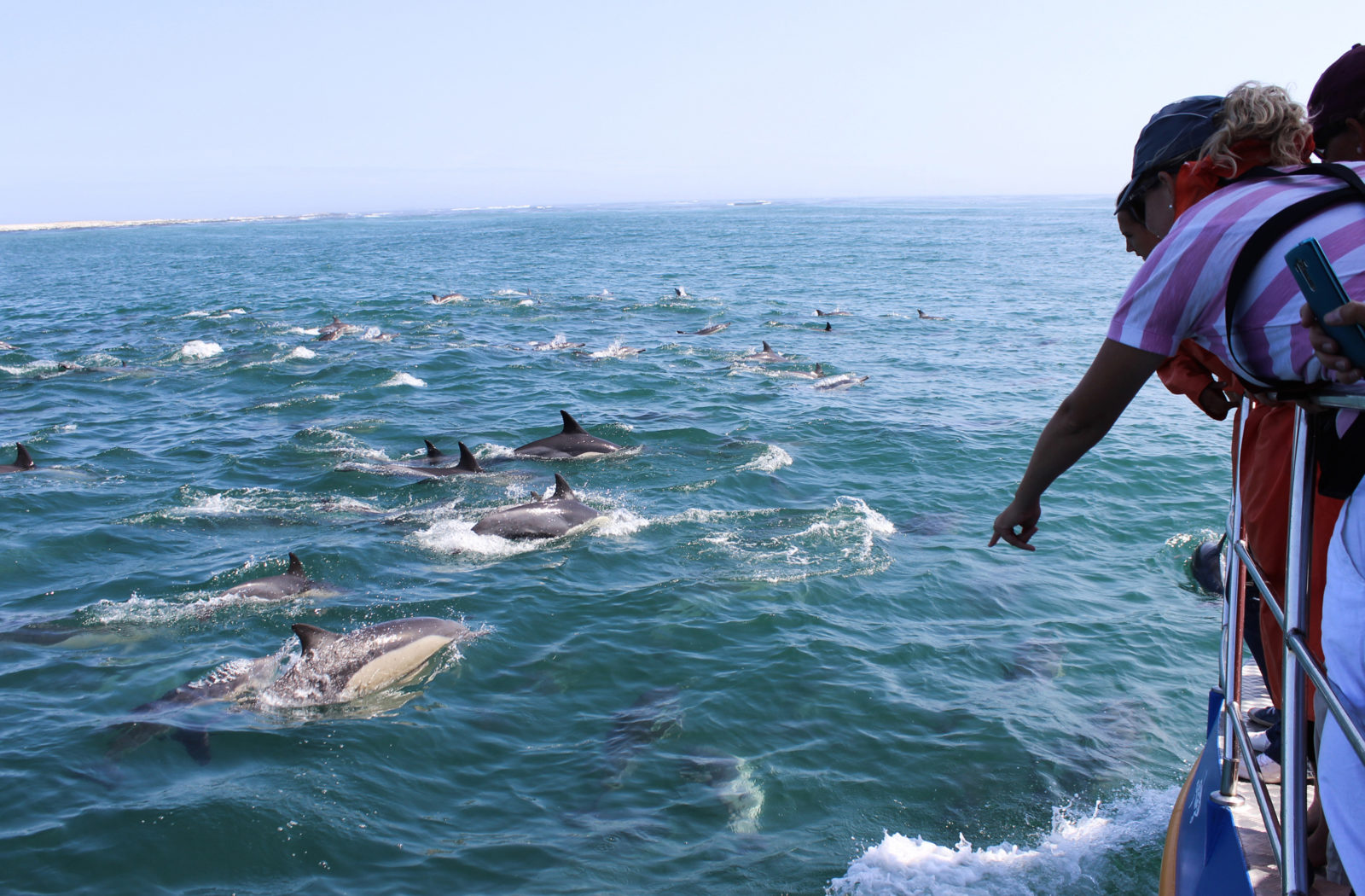 Grootbos Eco Boat Experience