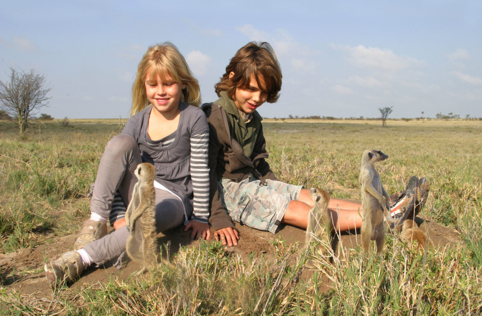 Make friends with a meerkat in Botswana