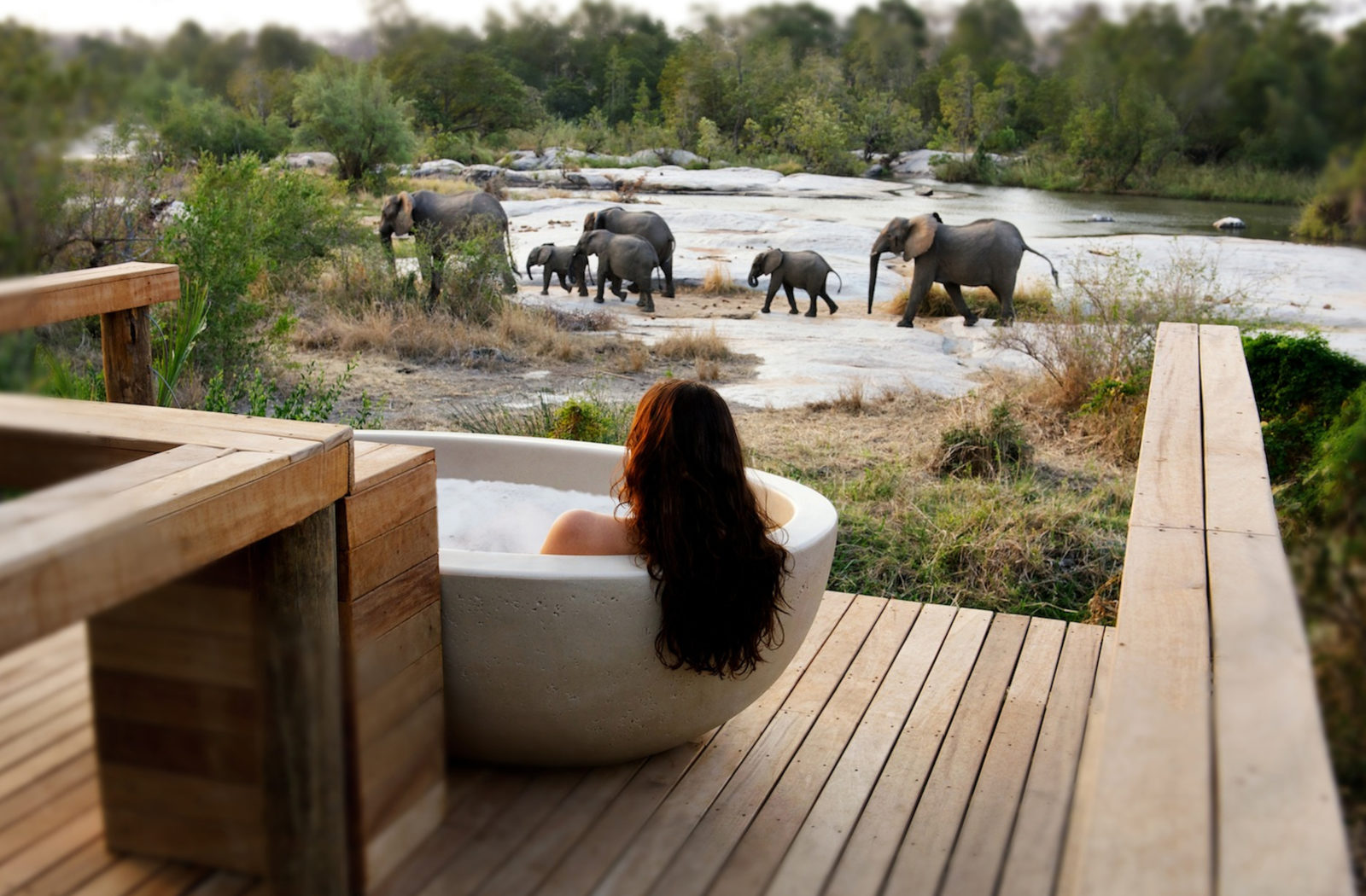 Londolozi Game Reserve, South Africa