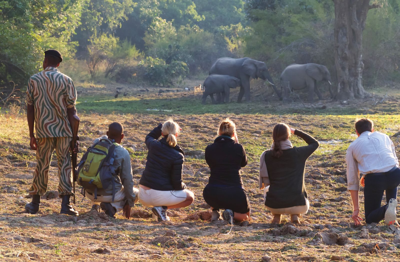 South Luangwa, Zambia