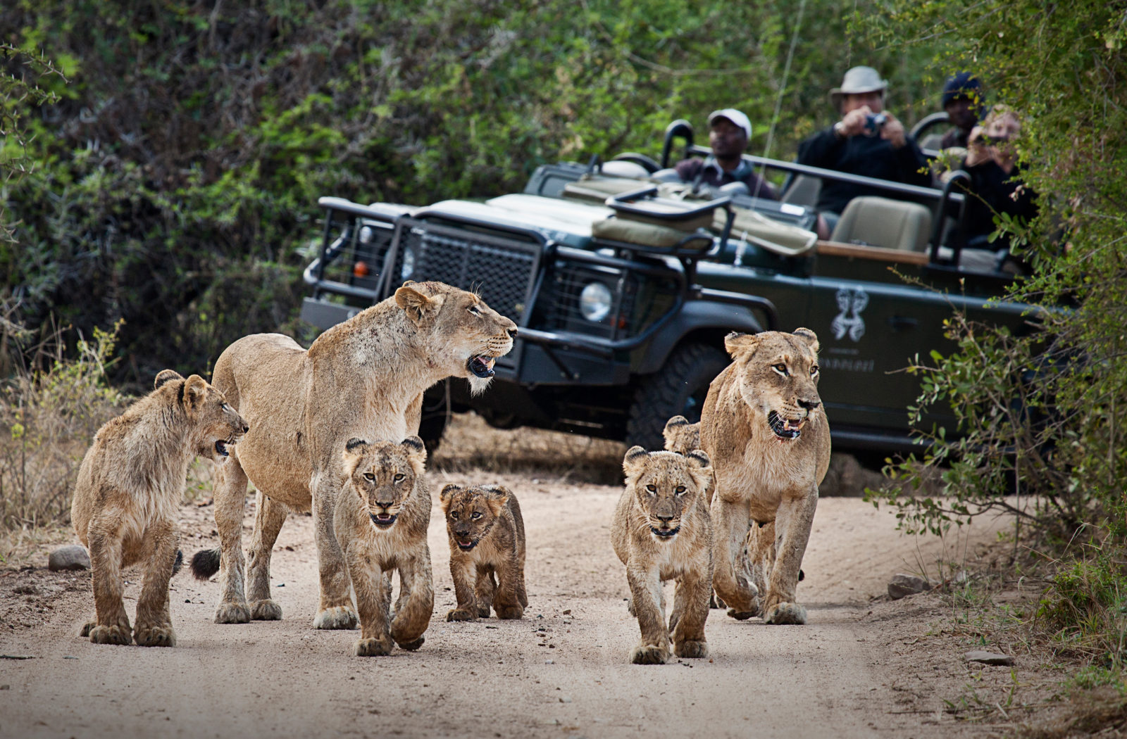 Photographic Safaris Livingstone Safaris