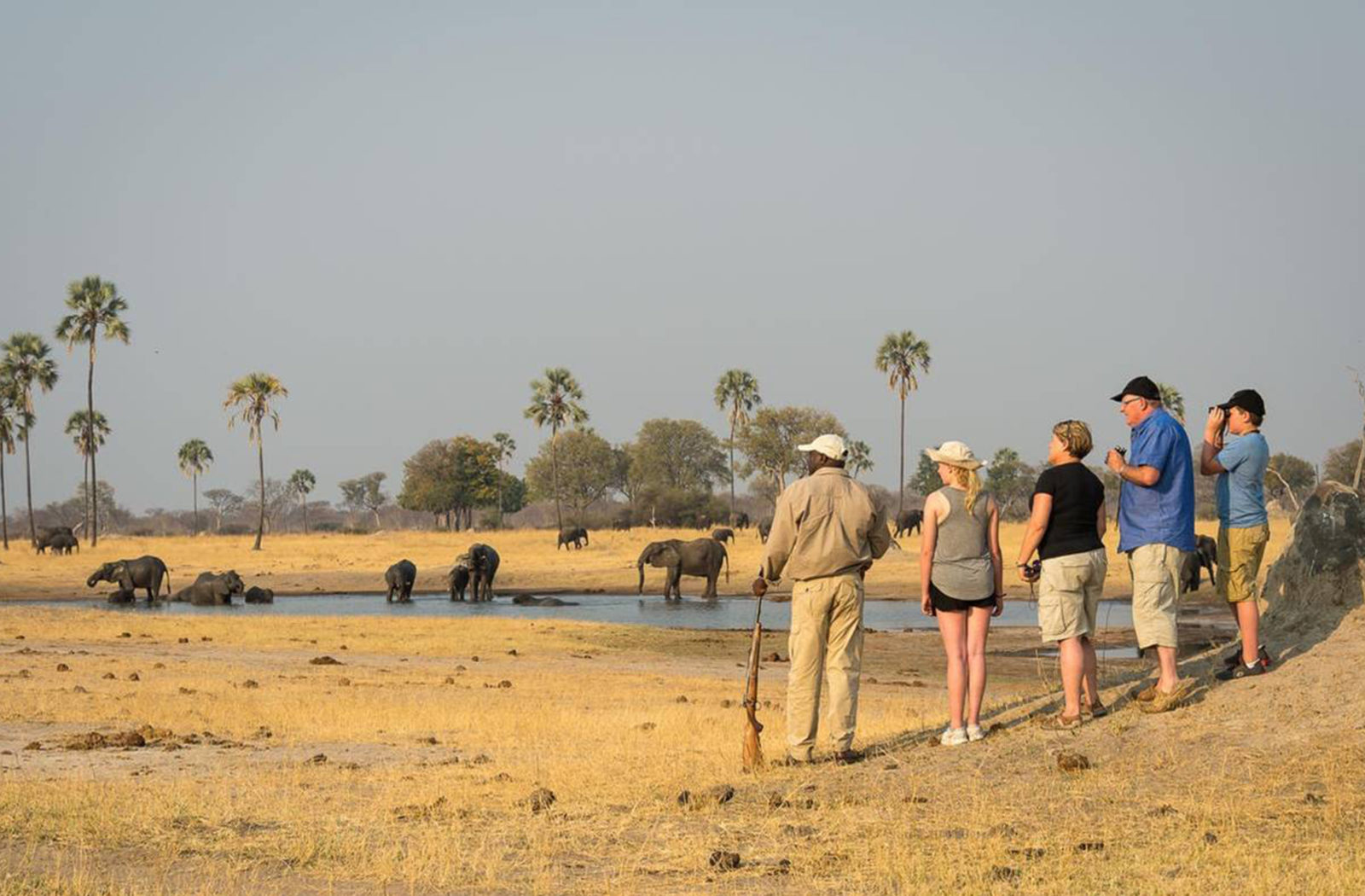 Safari Walks in Hwange, Zimbabwe