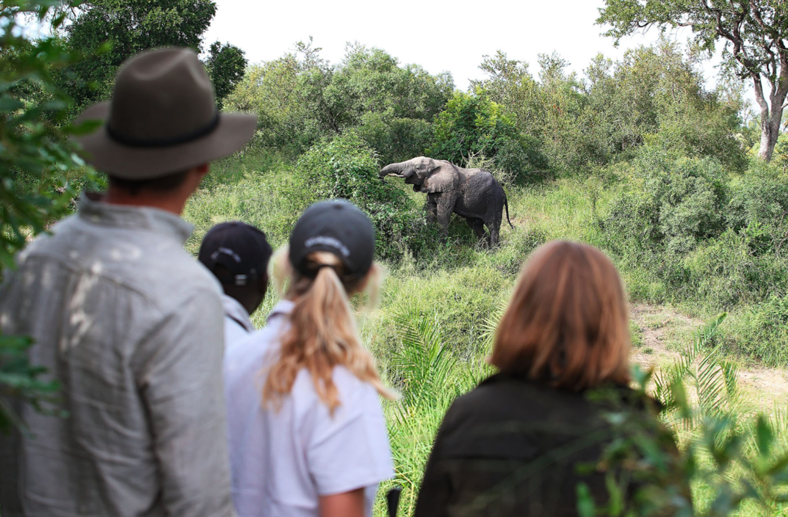 Kruger National Park, South Africa