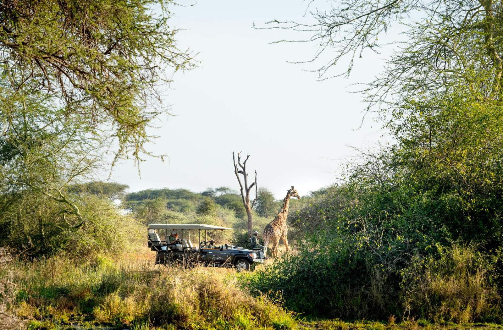 singita_pamushana_lodge_-_game_drive-min1