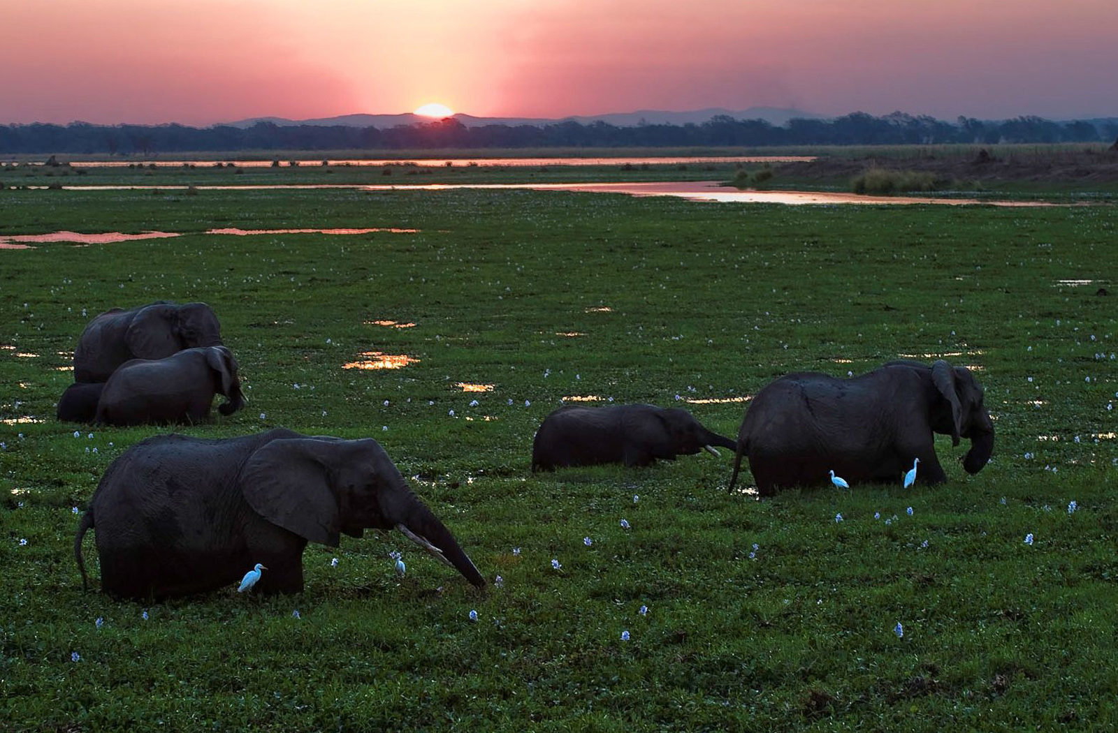 Rukomechi-Camp-WildernessSafaris