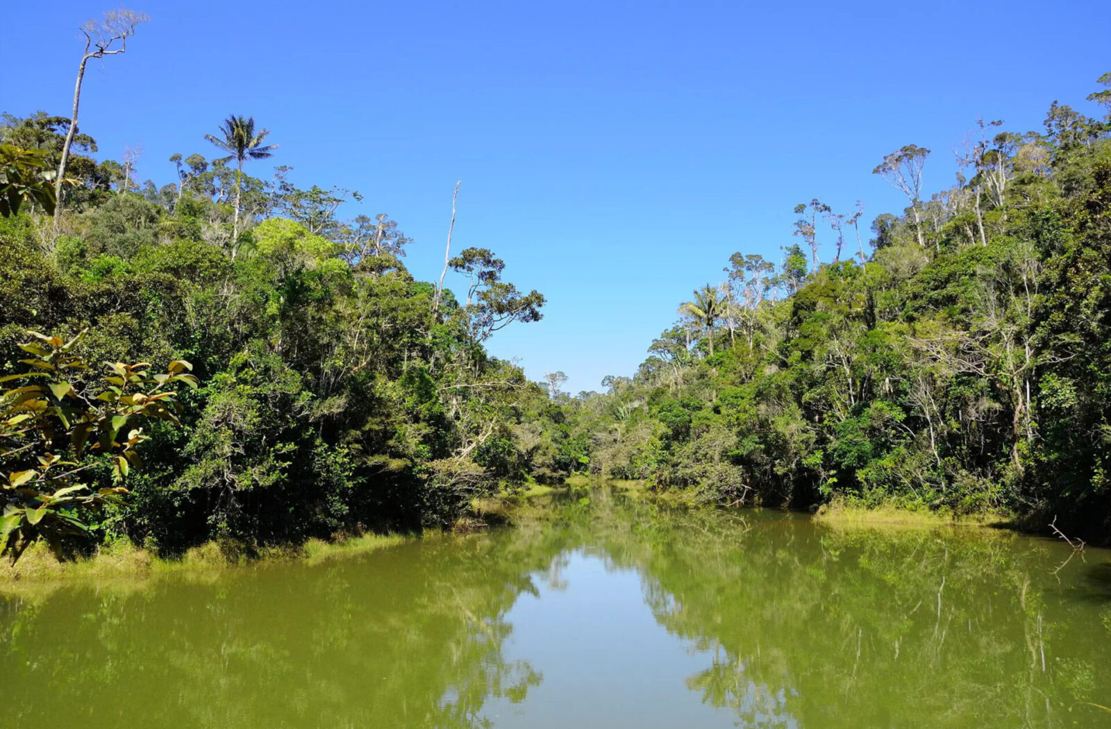 Andasibe-Mantadia National Park