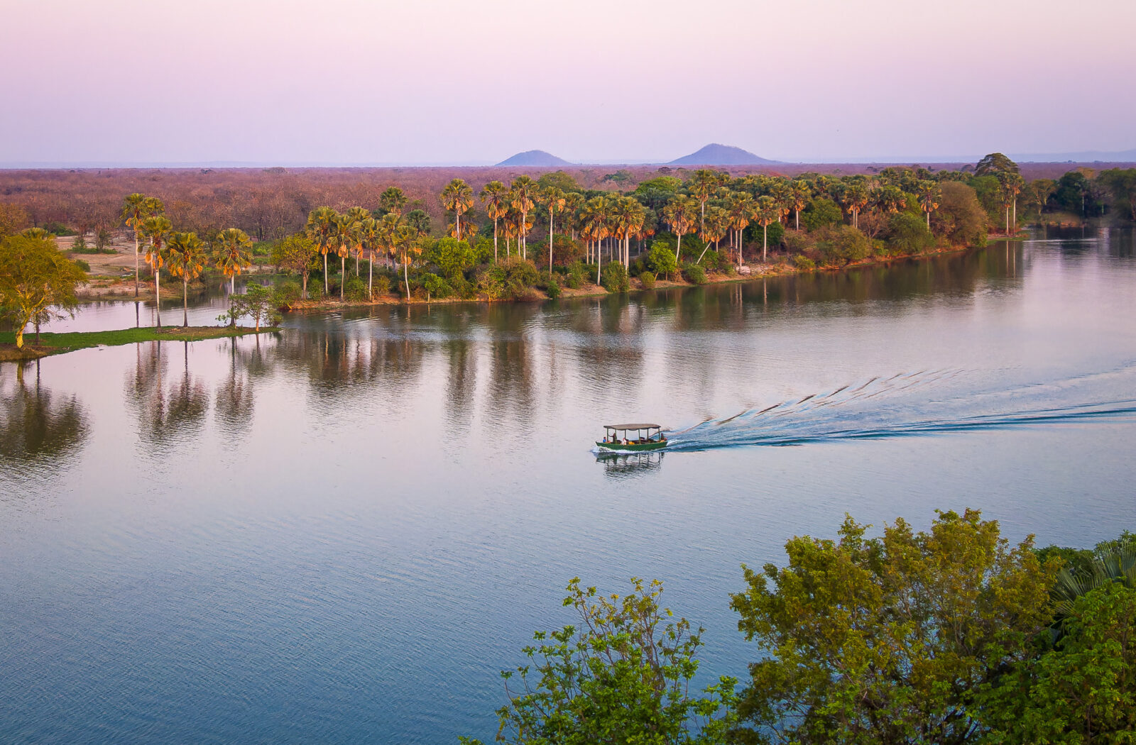 Boat Safaris on Shire River