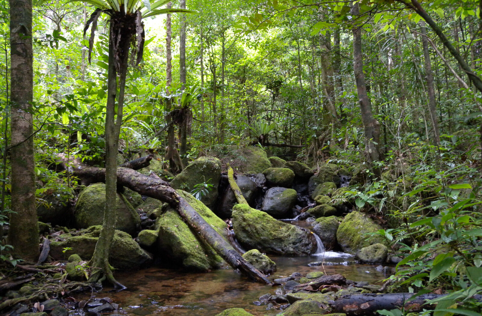 Masoala National Park
