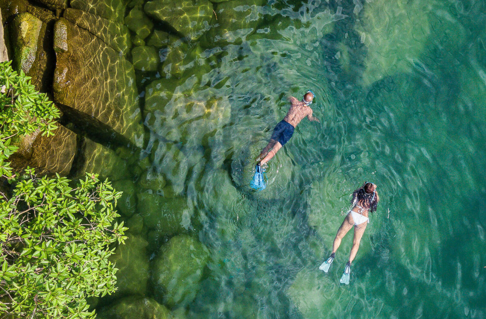 Snorkeling & Diving