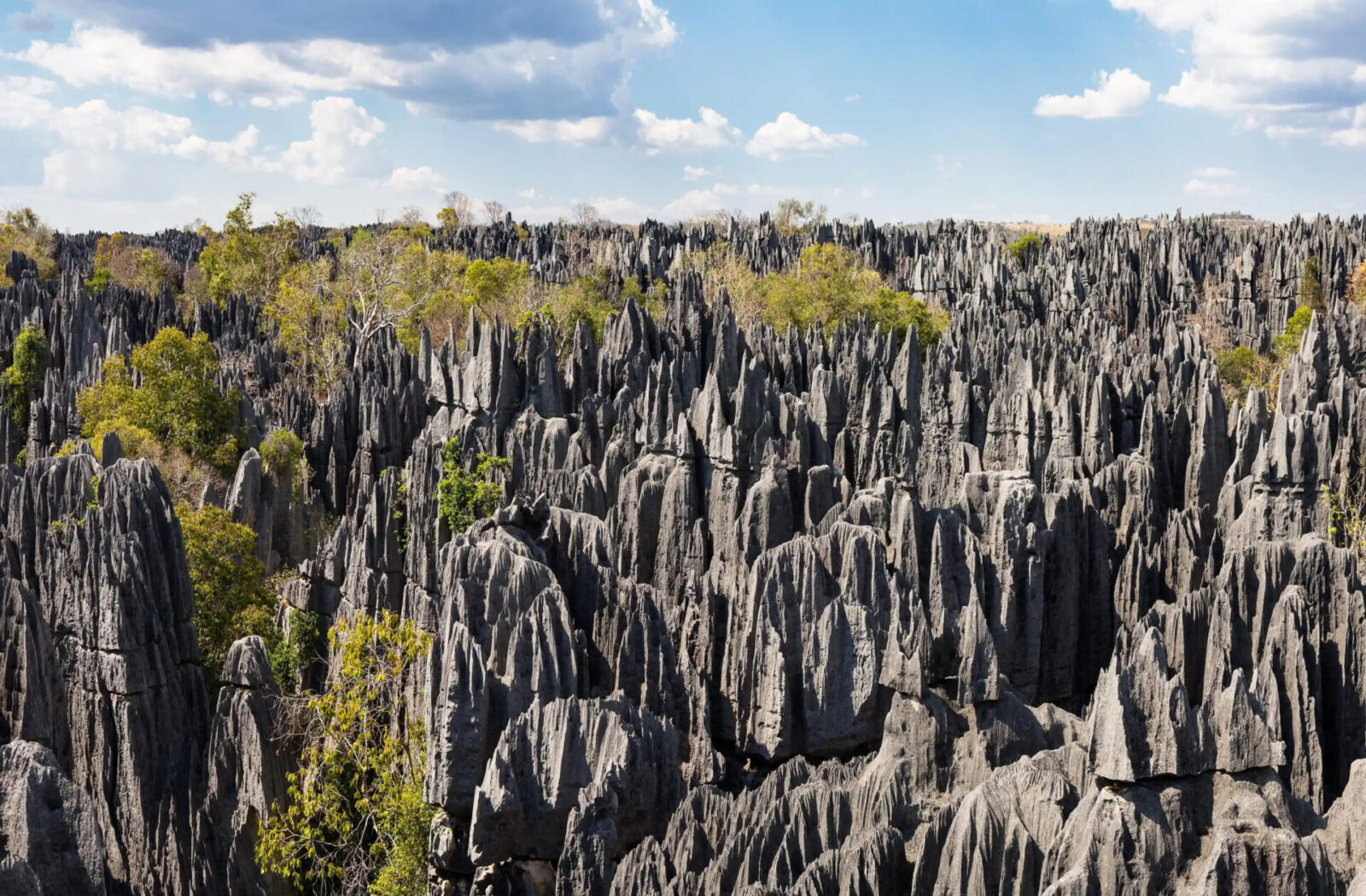 Tsingy De Bemaraha