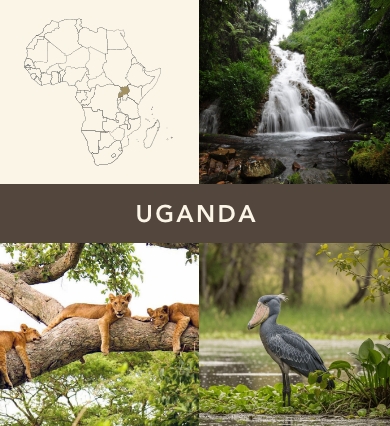 Uganda